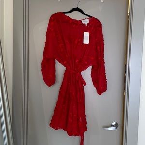 Red Anthropologie dress